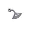 Traditional TS301A65#CP Multi Function Shower Head in Polished Chrome