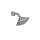 Traditional TS301A65#CP Multi Function Shower Head in Polished Chrome