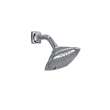 Multi Function Shower Head in Polished Nickel