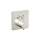 Square Dual Function Thermostatic Valve Trim in Brushed Nickel
