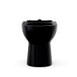 Toto(R) Glaston(Tm) Washlet(R)+ Elongated Skirted Toilet Bowl, Ebony - CT472CUFT40#51