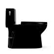 Toto(R) Redington(Tm) One-Piece Elongated 1.28 Gpf Washlet(R)+ And Auto Flush Ready Universal Height Toilet With Ss124 Softclose(R) Seat, Ebony - MS672124CEF#51