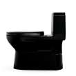 Toto(R) Redington(Tm) One-Piece Elongated 1.28 Gpf Washlet(R)+ And Auto Flush Ready Universal Height Toilet With Ss124 Softclose(R) Seat, Ebony - MS672124CEF#51