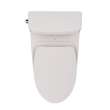 Toto(R) Redington(Tm) One-Piece Elongated 1.28 Gpf Washlet(R)+ And Auto Flush Ready Universal Height Toilet With Cefiontect(R) And Ss124 Softclose(R) Seat, Sedona Beige - MS672124CEFG#12