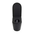 Toto(R) Neorest(R) Ls Dual Flush 1.0 Or 0.8 Gf Integrated Bidet Toilet, Matte Black - MS8732CUMFG#MBL