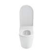 Toto(R) Neorest(R) Ls Dual Flush 1.0 Or 0.8 Gf Integrated Bidet Toilet, Matte White - MS8732CUMFG#MW