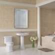 Toto(R) Eco Guinevere(R) Elongated 1.28 Gpf Universal Height Skirted Toilet With Cefiontect(R) And Softclose Seat, Sedona Beige - MS974224CEFG#12