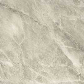 Expressions Sample Wall Kit in Browns and Creams