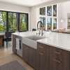 RUSSF3319-16 SilQgranite Farmhouse Kitchen Sink in Caf