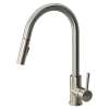 Pull Down Kitchen Faucet with Single Handle, Luxe Stainless
