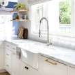 Cuisine Pro Pull-Out Kitchen Faucet in Luxe Stainless