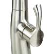 Organix Pull-Out Kitchen Faucet in Luxe Stainless