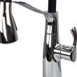 Organix Pull-Out Kitchen Faucet in Polished Chrome