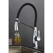 Organix Pull-Out Kitchen Faucet in Polished Chrome
