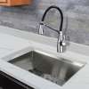 Organix Pull-Out Kitchen Faucet in Polished Chrome