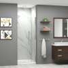 EHTB32267610C-BK-BS Elizabeth 32-in W x 76-in H Hinged Shower Door in Brushed Stainless with Clear Glass