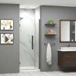 EHTB31257610C-T-MB Elizabeth 31-in W x 76-in H Hinged Shower Door in Matte Black with Clear Glass