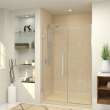 EHTB525287610C-T-M Elizabeth 52.5-in W x 76-in H Hinged Shower Door