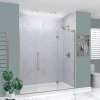 EHTF74267610C-BK-BS Elizabeth 74-in W x 76-in H Hinged Shower Door in Brushed Stainless with Clear Glass