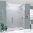 EHTF74267610C-T-BS Elizabeth 74-in W x 76-in H Hinged Shower Door in Brushed Stainless with Clear Glass