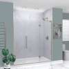 EHTF75277610C-T-BS Elizabeth 75-in W x 76-in H Hinged Shower Door in Brushed Stainless with Clear Glass