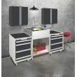 K-EWS-2422S 24-in W x 22.1-in D x 35.2-in H Laundry Sink/Wash Stand All-in-One Kit, Brushed Stainless