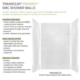 Prodigy PWK603696-231 60