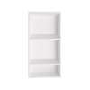 16-in x 3.5-in x 39-in SMC Storage Caddy, White, EWSV1639-31