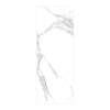 Titan 39-in x 96-in Continous Pattern Shower Wall Panel B, White Caruso (Glossy), TW3996-KI01GCB