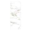 Titan 39-in x 96-in Continous Pattern Shower Wall Panel B, Summit Gold (Glossy), TW3996-KI80GCB