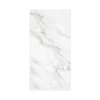 Titan 48-in x 96-in Shower Wall Panel, Summit Gold (Glossy), TW4896-KI80G