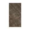 Titan 48-in x 96-in Shower Wall Panel, Sahara (Glossy), TW4896-KI82G