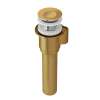 IntelliDrain(TM) Push Drain for Victoria + Albert(R) Bathtubs Without an Overflow Hole, K-36E-UB