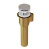 IntelliDrain(TM) Push Drain for Victoria + Albert(R) Bathtubs Without an Overflow Hole, K-40E-BN