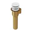 IntelliDrain(TM) Push Drain for Victoria + Albert(R) Bathtubs Without an Overflow Hole, K-40E-WH