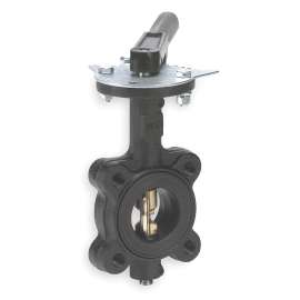 Butterfly Valve, 2 1/2in